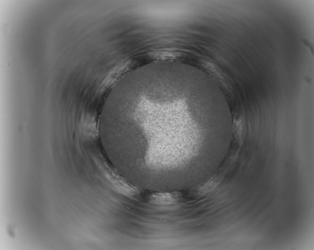 X0000101190381200807071321