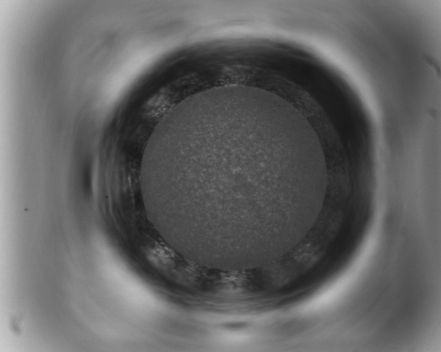 X0000101190382200807071321
