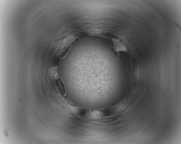 X0000101190383200807071321