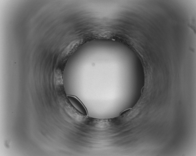 X0000101190384200807071321