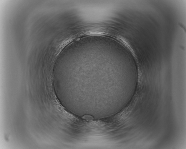 X0000101190385200807071320