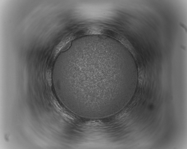 X0000101190386200807071320