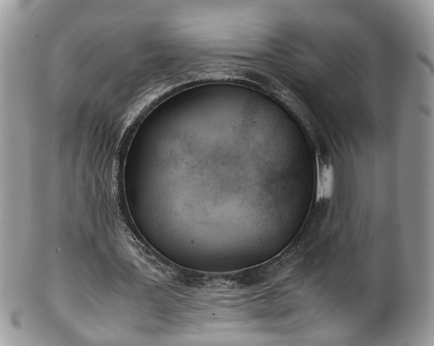 X0000101190387200807071320