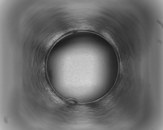 X0000101190389200807071320