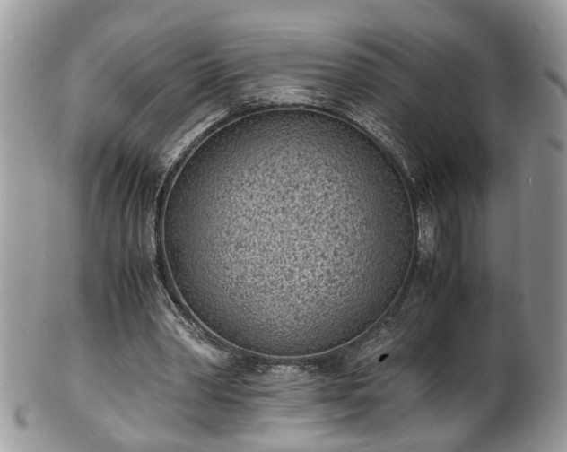 X0000101190390200807071320