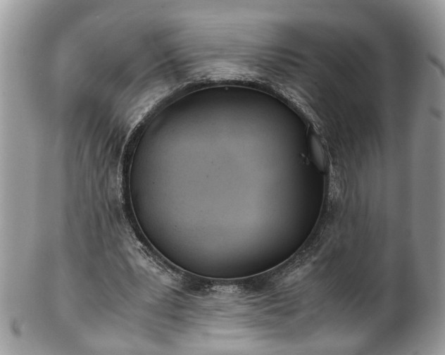 X0000101190391200807071320