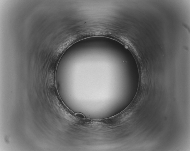 X0000101190393200807071319
