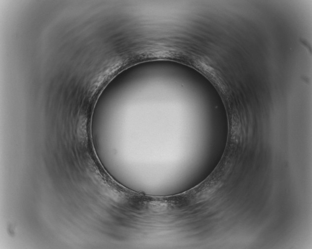 X0000101190394200807071319