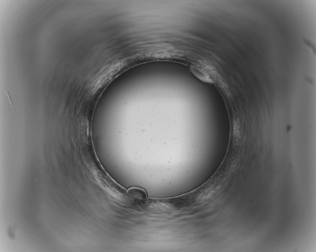 X0000101190397200807071319