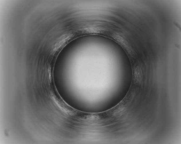 X0000101190398200807071319