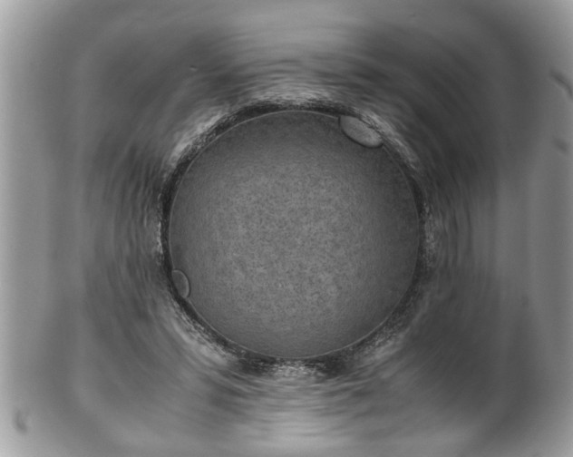 X0000101190399200807071319