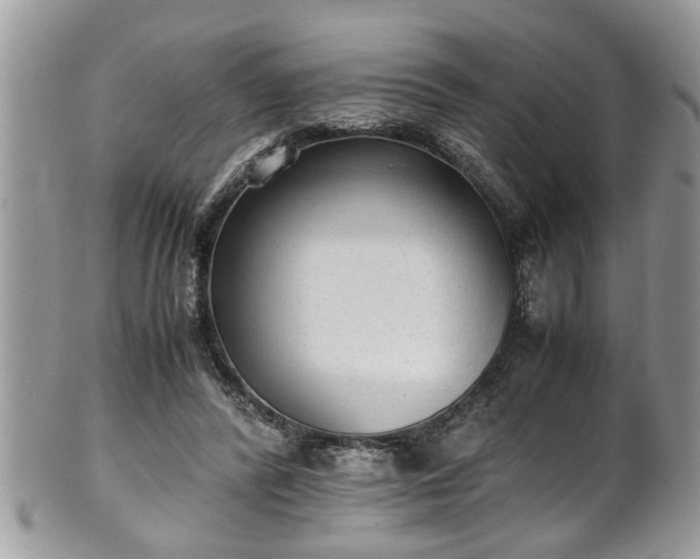 X0000101190400200807071319