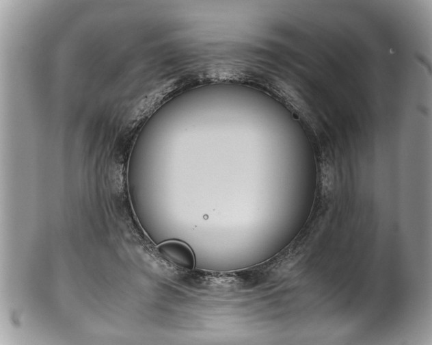 X0000101190401200807071319