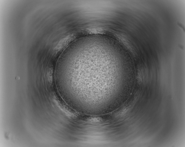 X0000101190402200807071319