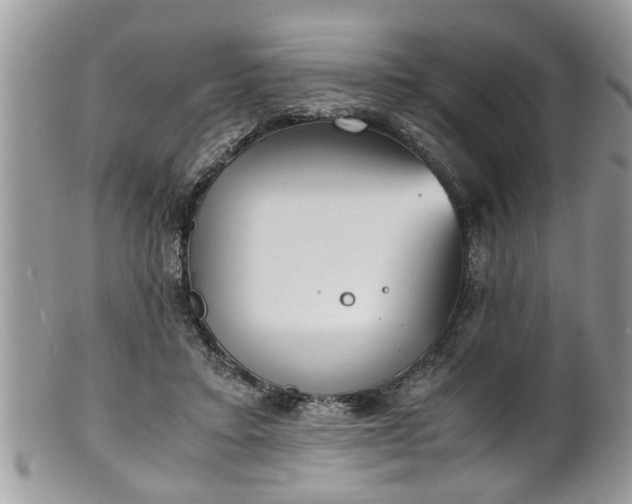 X0000101190403200807071319