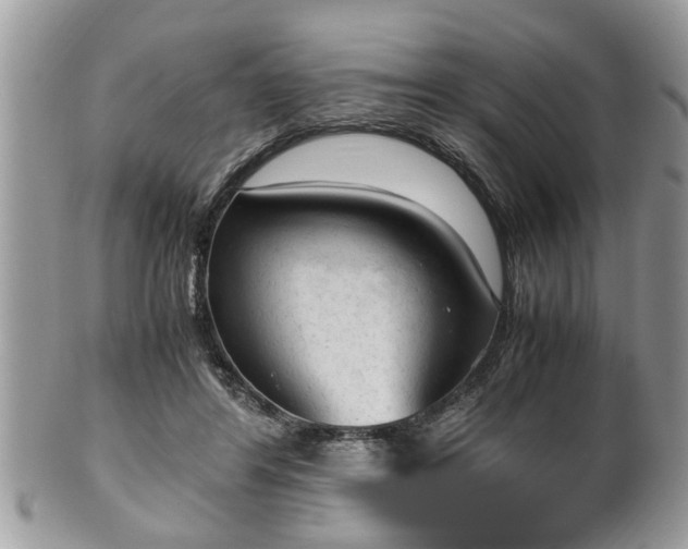 X0000101190404200807071319