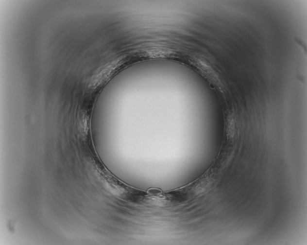 X0000101190405200807071319