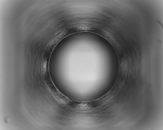 X0000101190406200807071319