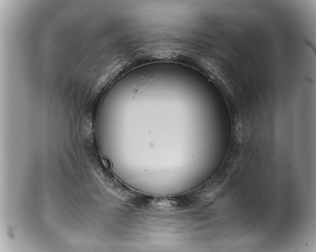 X0000101190407200807071319