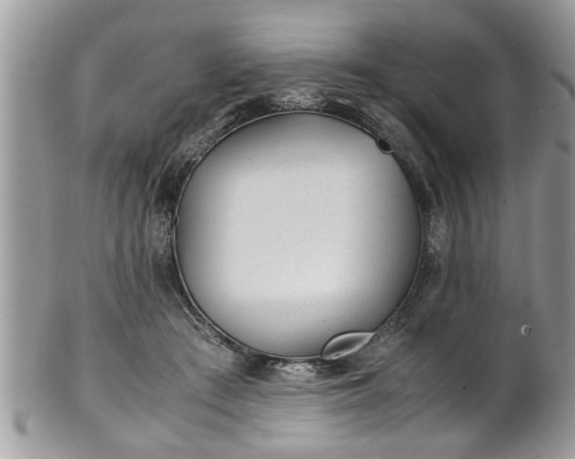 X0000101190409200807071319