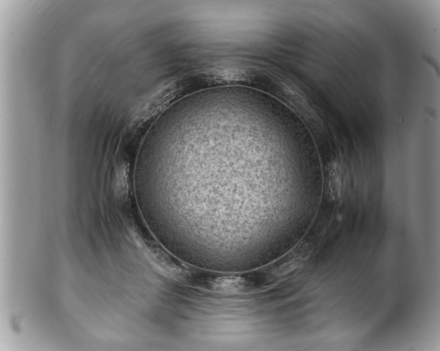 X0000101190410200807071319