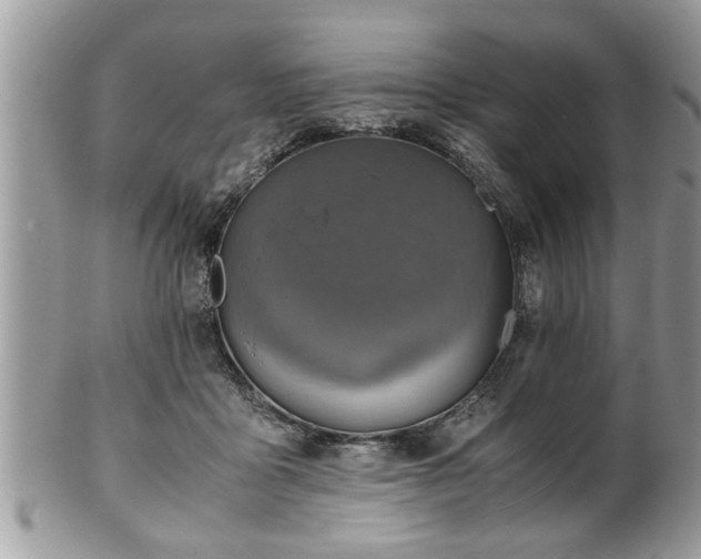 X0000101190411200807071319