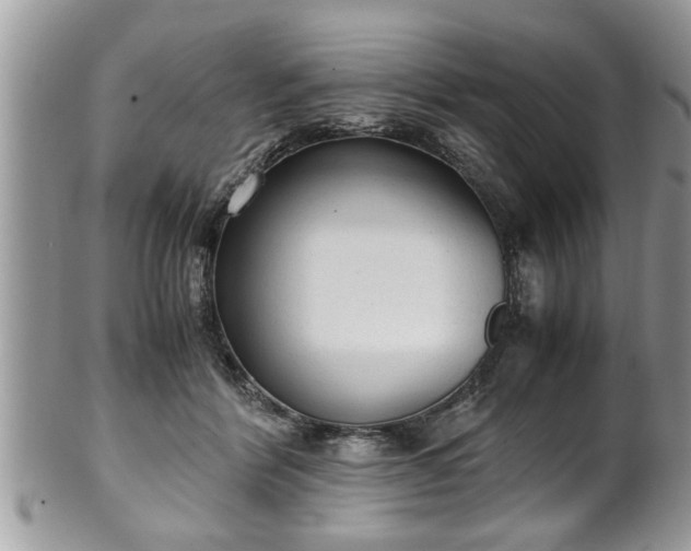 X0000101190412200807071319