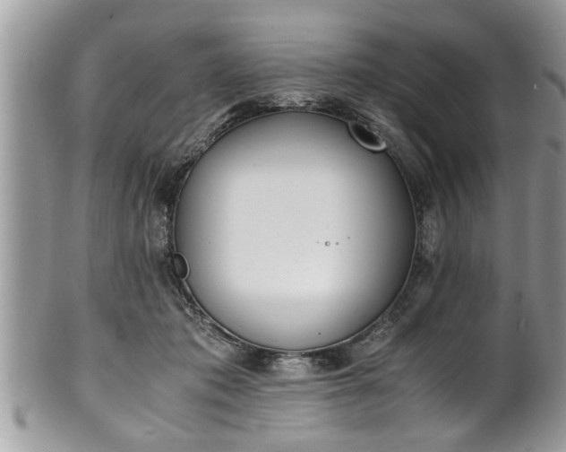 X0000101190413200807071319