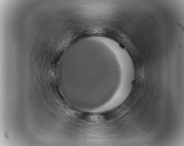 X0000101190415200807071319