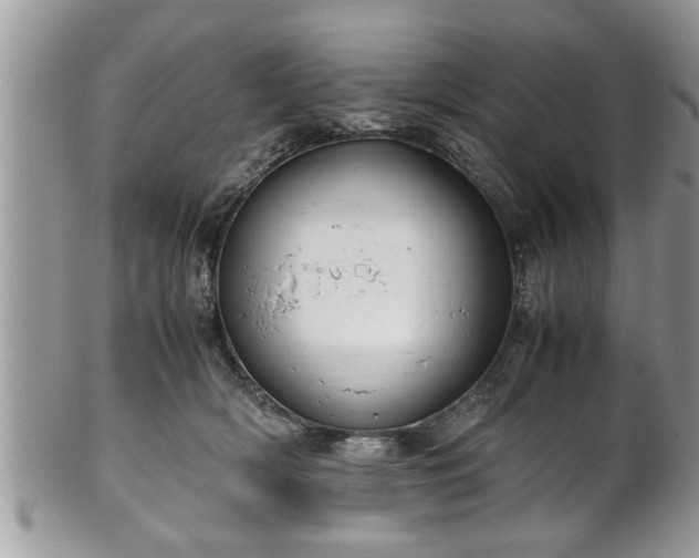 X0000101190418200807071319