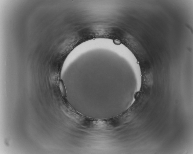 X0000101190419200807071319