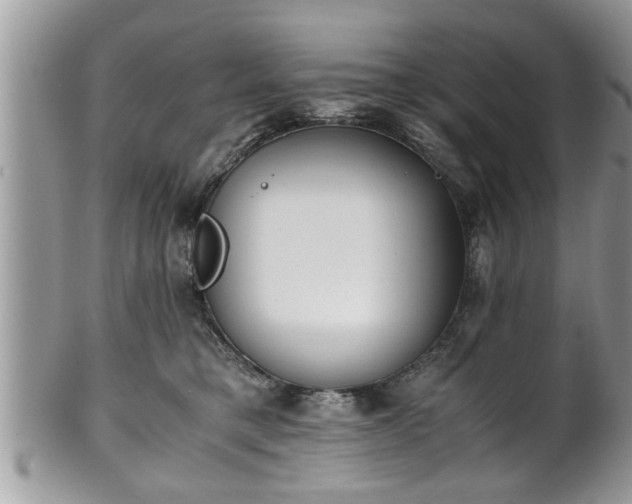 X0000101190421200807071319