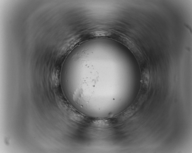 X0000101190422200807071319