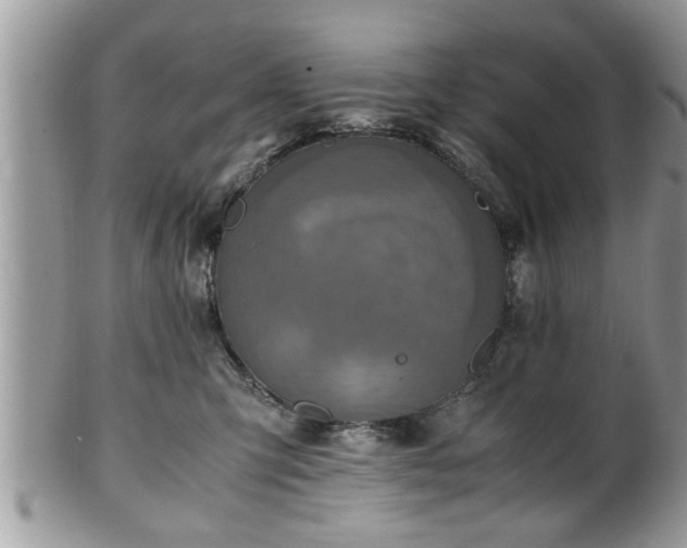 X0000101190423200807071319