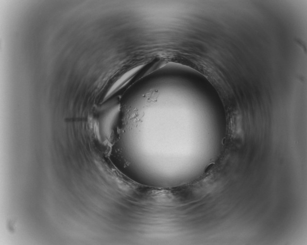 X0000101190424200807071319