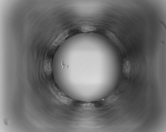 X0000101190426200807071319