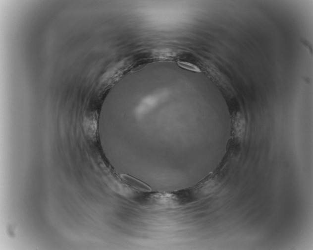 X0000101190427200807071319
