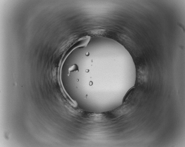 X0000101190428200807071319