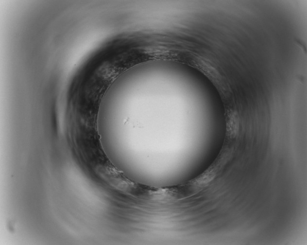 X0000101190430200807071319