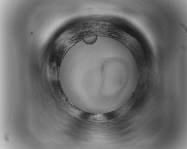 X0000101190431200807071319