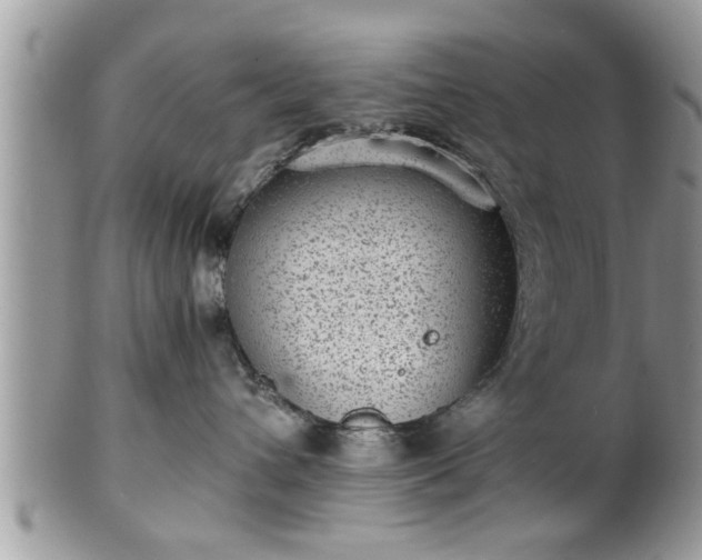 X0000101190432200807071319