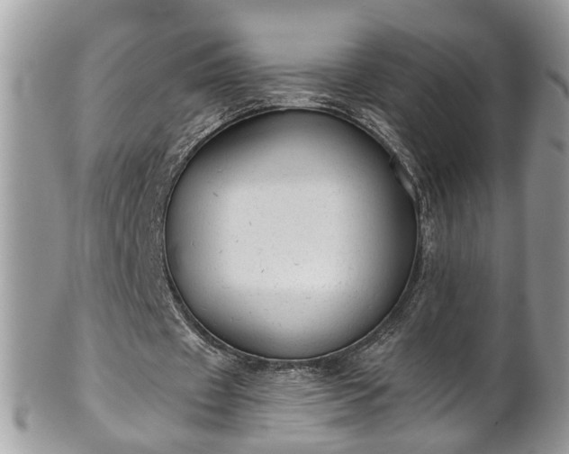 X0000101190433200807071318