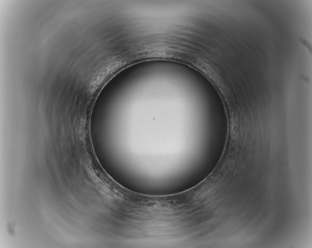 X0000101190434200807071318