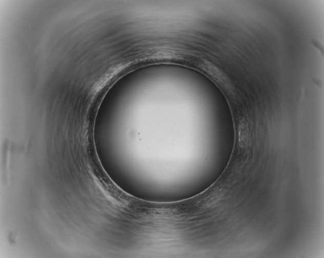 X0000101190436200807071318