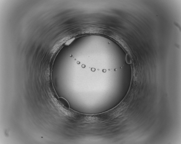X0000101190437200807071318