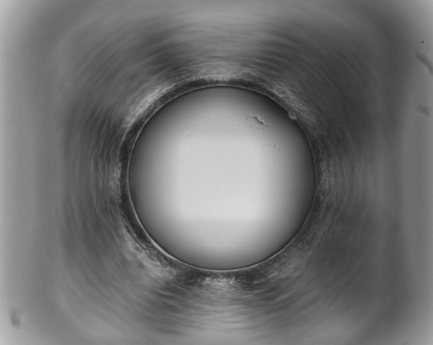 X0000101190440200807071318