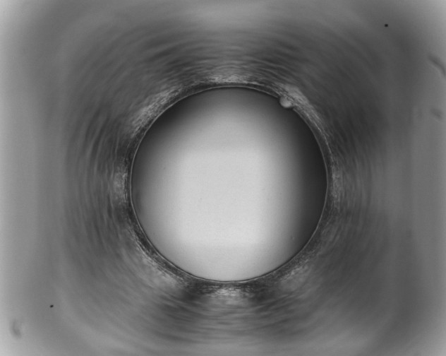 X0000101190441200807071318
