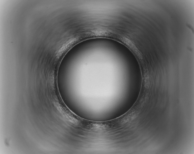 X0000101190442200807071318