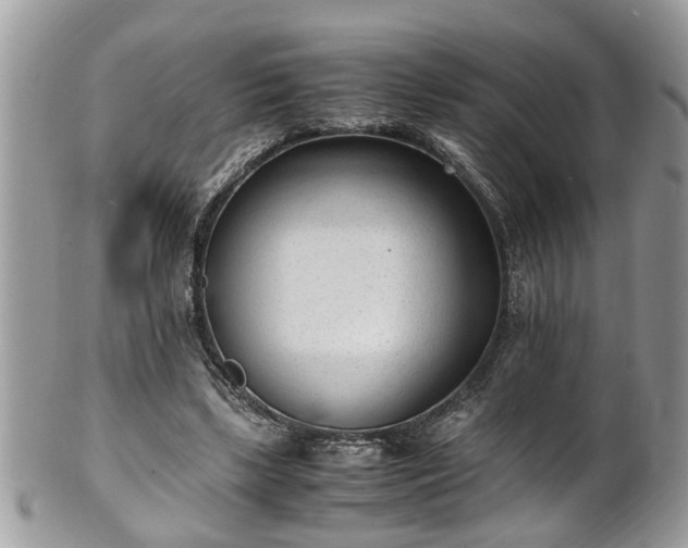 X0000101190443200807071318