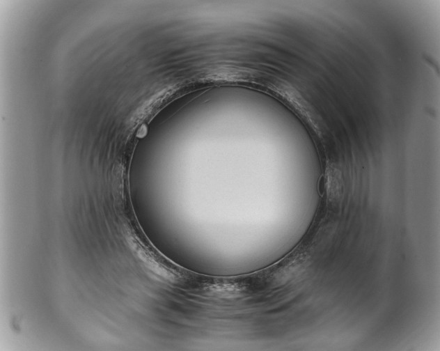 X0000101190445200807071318
